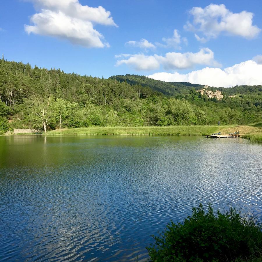Agriturismo Vinci Gaiole in Chianti Εξωτερικό φωτογραφία